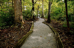 Brookhaven Retreat's 7th Anniversary